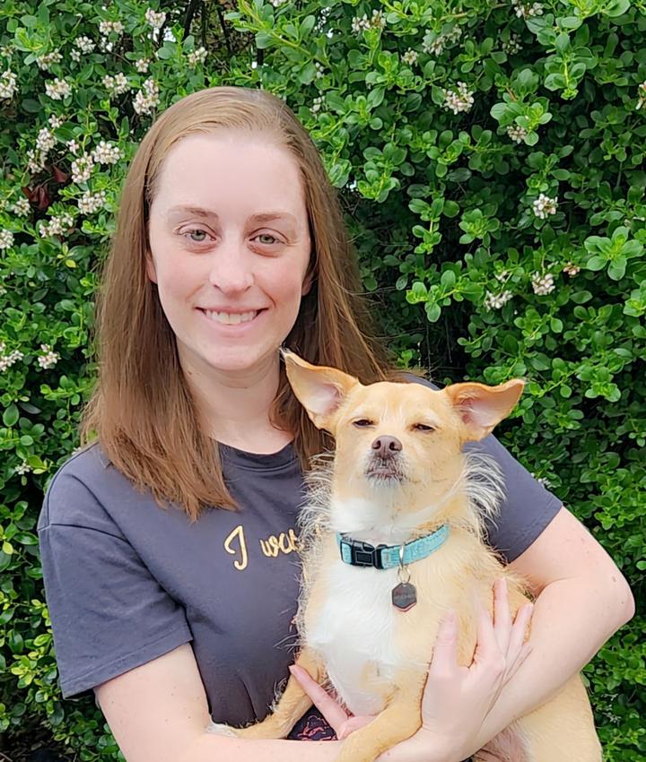 Experienced Veterinarians Animal Hospital in Edgewood